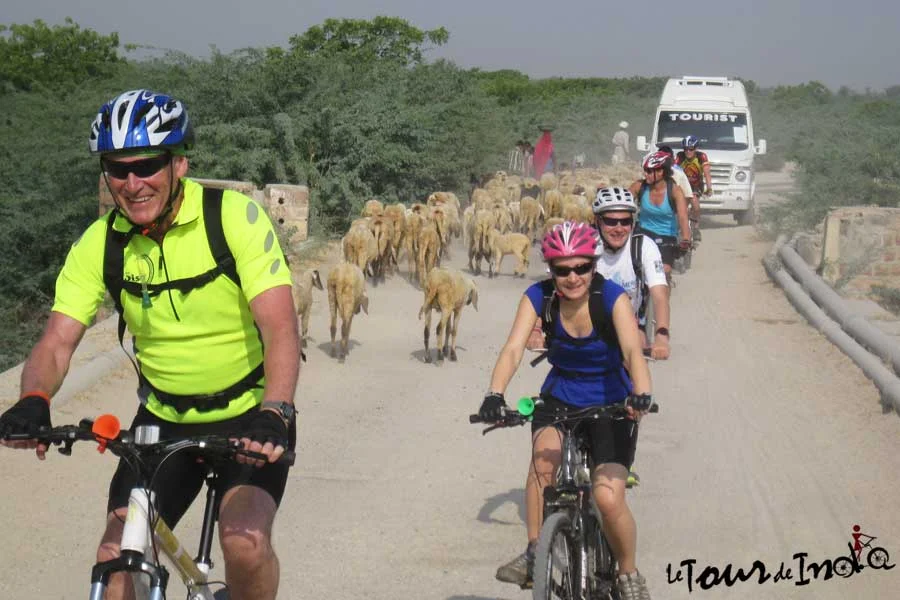 11 Days Rajasthan Boutique Cycling Tour